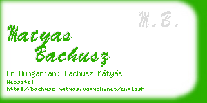 matyas bachusz business card