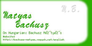 matyas bachusz business card